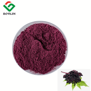 Polvere di succo di sambuco