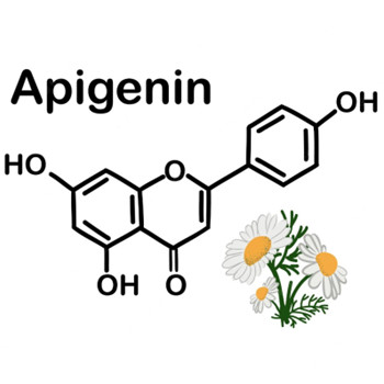 Cosa fa l'apigenina nel corpo?